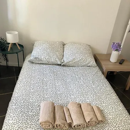 - Museum Of Fine Arts *