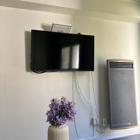 - Museum Of Fine Arts * Tours