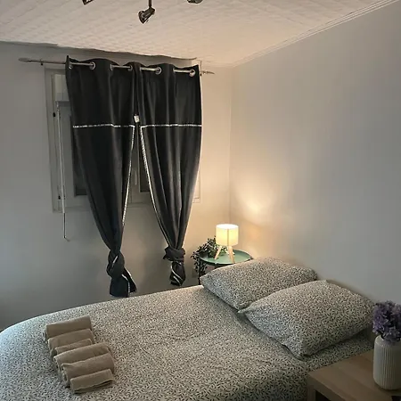 - Museum Of Fine Arts