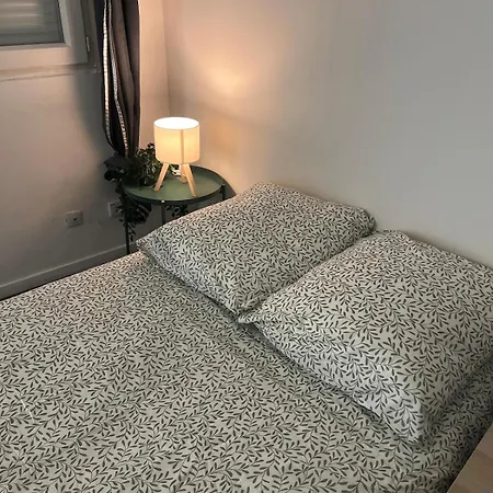 - Museum Of Fine Arts