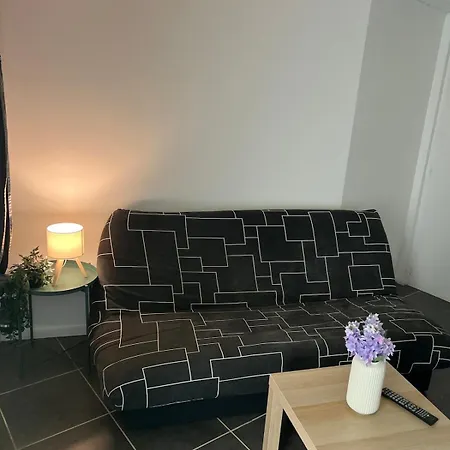 - Museum Of Fine Arts Tours