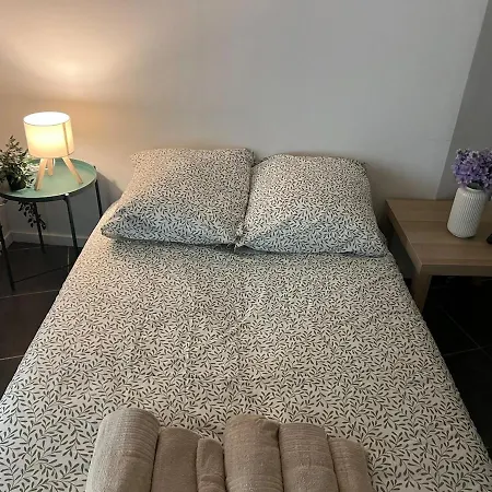 - Museum Of Fine Arts