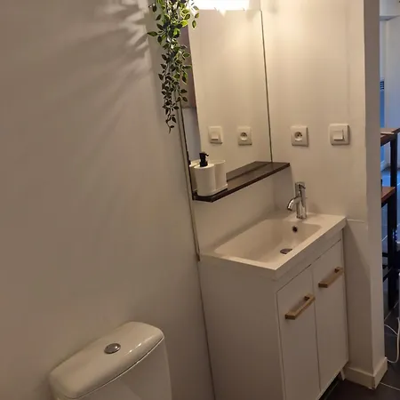 - Museum Of Fine Arts