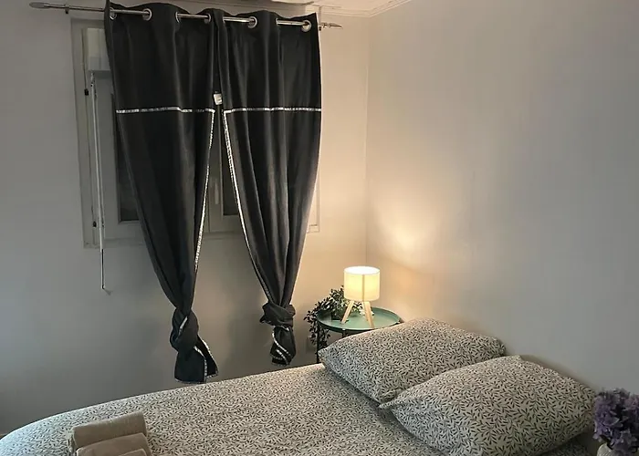 - Museum Of Fine Arts