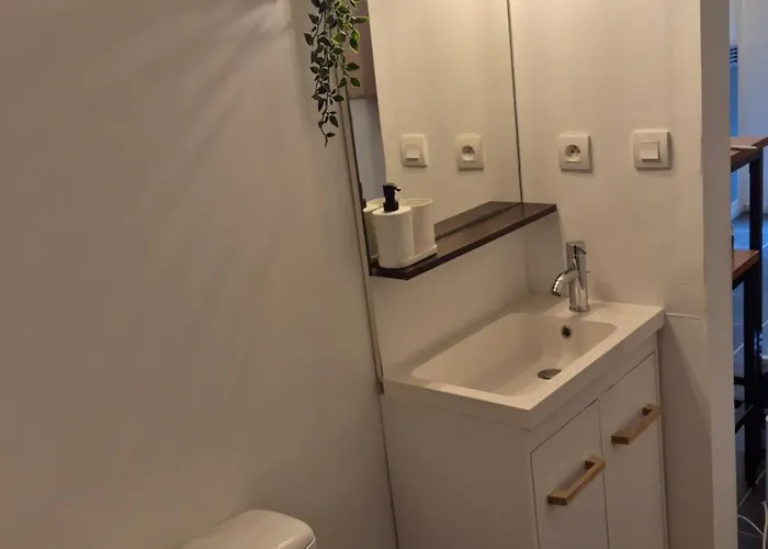 - Museum Of Fine Arts